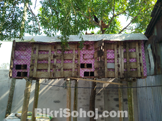 কবুতরের ঘর।